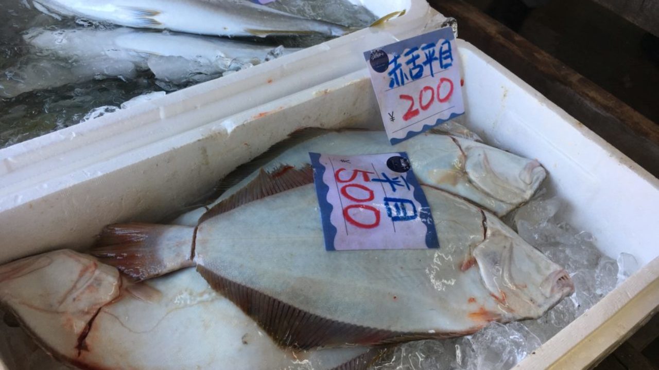 お魚捌こ 道の駅とみうら みのやの鮮魚 ブログ 魚を捌く