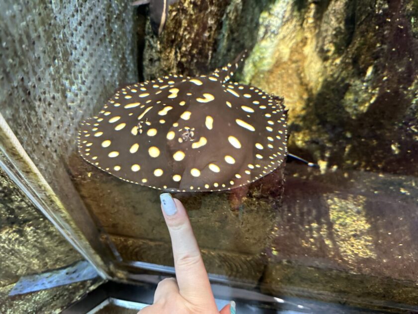 サンシャイン水族館