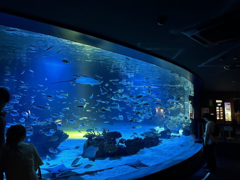 サンシャイン水族館